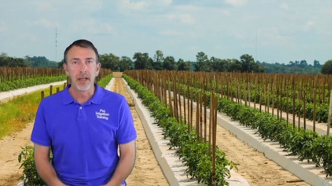History of Irrigation