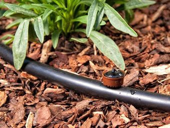 DIG Drip Emitter 3 GPH PC button dripper with check valve, barb inlet and outlet, Brown/Light Gray