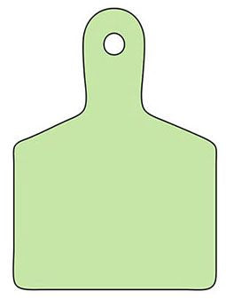 Christy-Blank Green STD ID Tag/2.25" X 2.7"