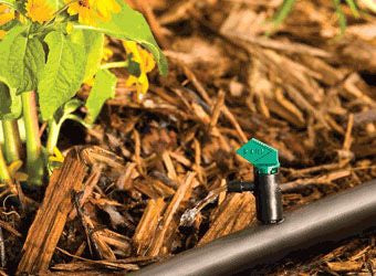 DIG- 06-010, 2 GPH flag dripper With Barbed Inlet And Outlet, Black/Green
