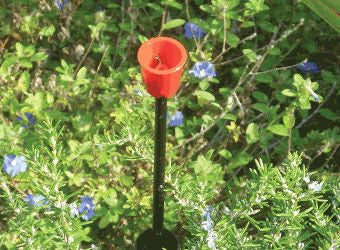 DIG- DSPI-12B, 12 pop-up indicator with 1/4 barbed elbow and 24" tubing