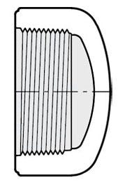 1/2 PVC CAP FPT SCH40