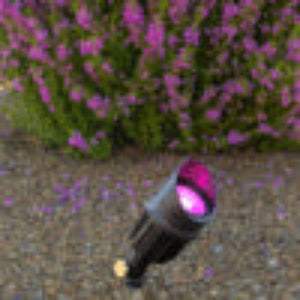 Brilliance ORGANICS-DL-MR16-BAMBOO-CHAMELEON, MR16 Bamboo Directional Light with MR16 Chameleon Lamp & stake