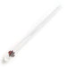 White cable with a red connector on a white background
