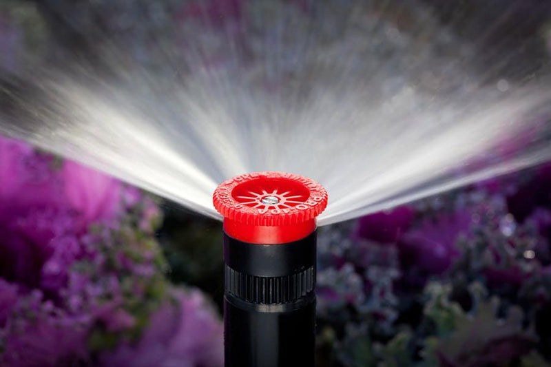 Hunter- PROS 04 CV, 4" Pop Up Spray Body With Check Valve, Accept Female Thread Nozzles
