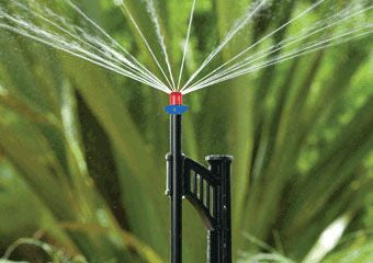 DIG Strip, spray jet assembly 14 diameter at 30 PSI, 14 GPH with 13" clip stake, 24" micro tubing and barb, Blue