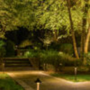 Evening scene of a garden with illuminated pathways and trees