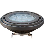 A PAR36 LED light bulb, with a dark (gray) rim and a brighter central part, designed for landscape and architectural lighting.