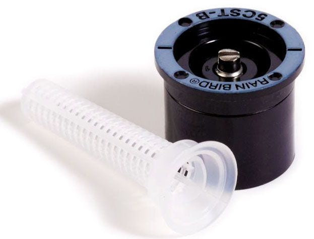 Rain Bird 5CST B MPR bubbler nozzle with a white filter screen, black body, and blue top.