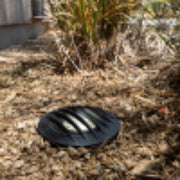 Black circular object on a grassy ground with dry leaves and plants.