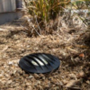 Black circular object on a grassy ground with dry leaves and plants.