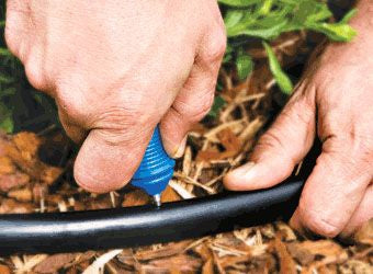 DIG 16-065, Pro punch with cutter