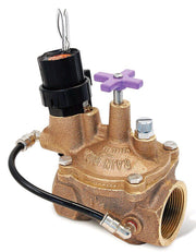 Rain Bird 200 EFB CP 2 inch Brass Irrigation Electric Valve with a purple handle cover, connected to black wiring and a solenoid on top.
