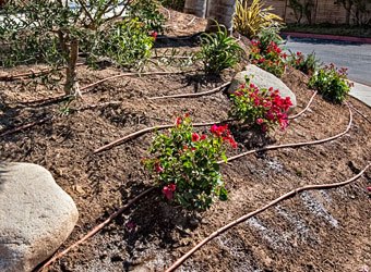 DIG A1-512P PC Dripline,12 Spacing, 0.95 GPH, 0.670" OD. 17 MM, 500'
