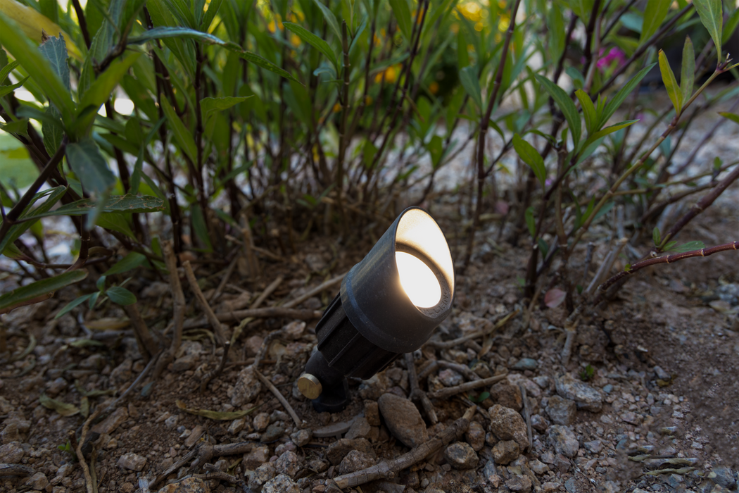 Small outdoor light fixture embedded in the ground among plants
