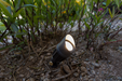 Small outdoor light fixture embedded in the ground among plants