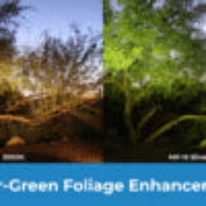 Comparison of foliage with and without green enhancement in a natural setting.