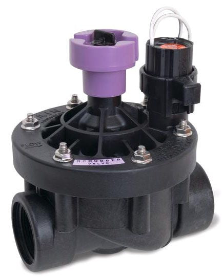 Rain Bird 200 PESB R 2" Inlet Inline Plastic Irrigation Electric Valve NPT Reclaimed