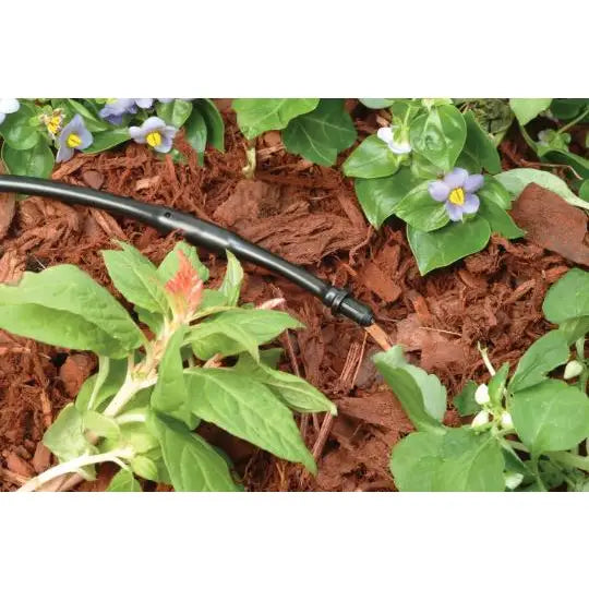 Rain Bird- EMA-GPX,  1/4" Drip Tubing Goof Plug (80/Pack)