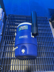 Blue Igloo cooler on a metal surface with a blue background