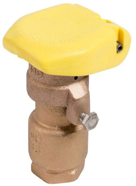 Rain Bird 33 DRC, 3/4" Quick Coupling Valve with 2-Piece Body