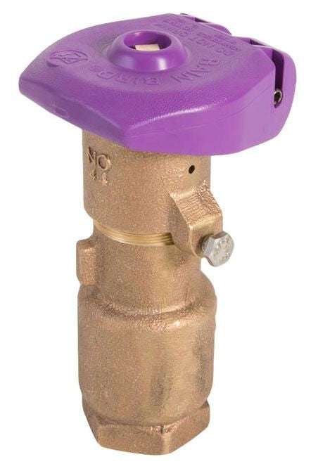 A Rain Bird 44 NP 1 inch NPT non-potable valve with a purple locking rubber cover and a brass body.