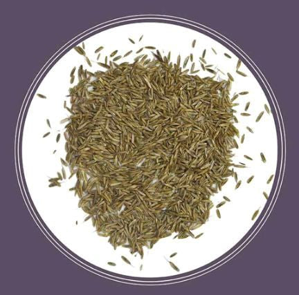 Pennington 100082644, Annual Ryegrass 50 lb/Bag