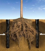 Tree with roots exposed, surrounded by black pipes and soil against a blue sky.