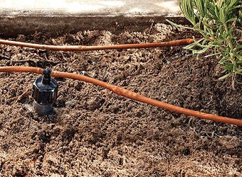 DIG 1/2 FNPT x 1/2 MNPT shrub adapter with 1/4 barbed elbow, Black