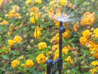 DOG 180 adjustable spray jet, threaded barb, Black