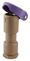 Aqualine QC 075RW 3/4" Brass quick coupling valve w/purple vinyl cover for RW