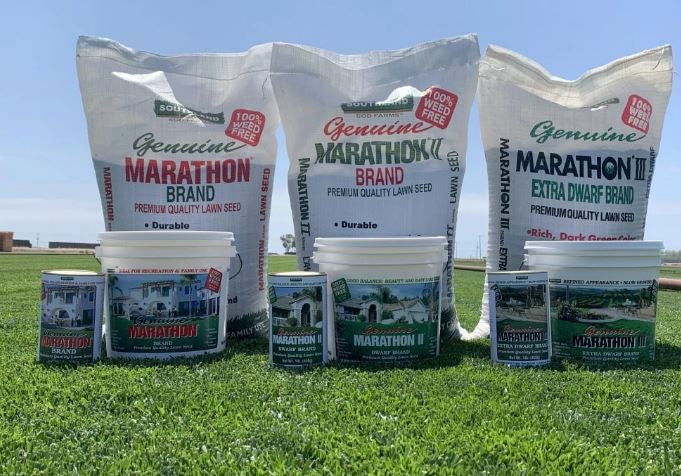 Marathon II 100060303, Lawn Grass Seed Bucket Dwarf Brand, 5 lb