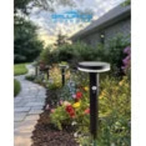 Solar garden light on a stone pathway with plants and flowers in the background