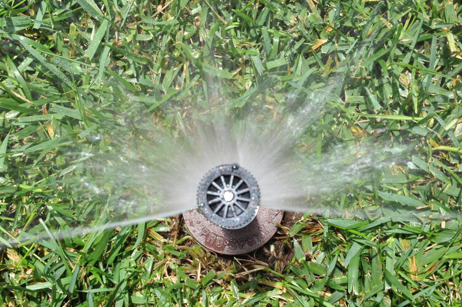 Hunter PROS 12 PRS30 CV 12" Pop Up Spray Body With Pressure Regulator & Check Valve, Accepts Female