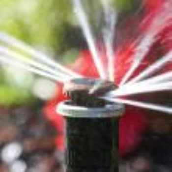 Sprinkler spraying water on a grassy area