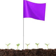 A purple wire staff marking flag installed in soil with several green plant seedlings growing around its base.
